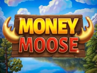 Money Moose game icon
